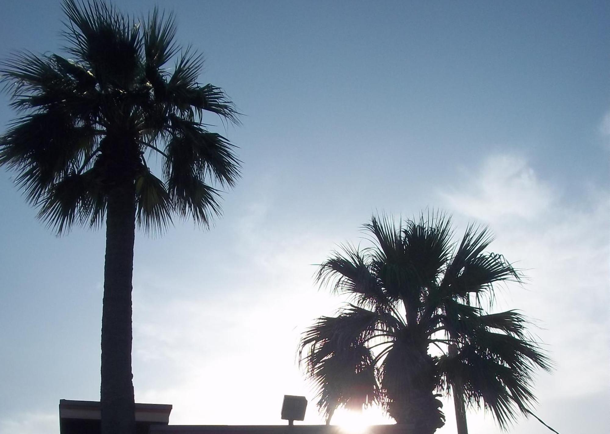 Whispering Palms Inn Del Rio Esterno foto